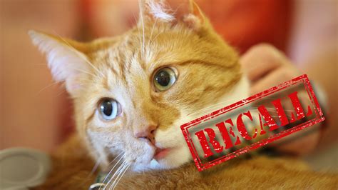 Pet food recall and other products can be found to fulfill the needs of all your pets, our pets, at entirelypets. Cat food recall covers popular brands