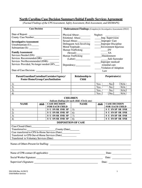 Dss 5228 Fill Out And Sign Online Dochub