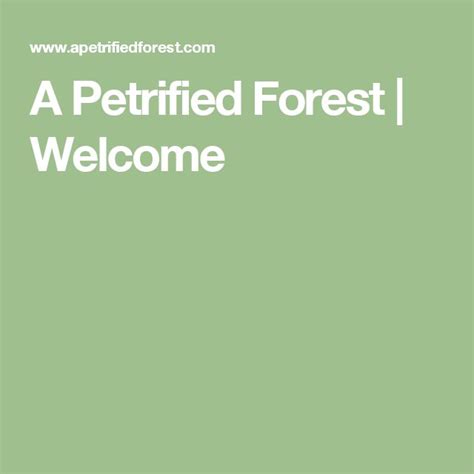 A Petrified Forest Welcome Petrified Forest Altamonte Springs