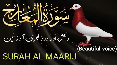 Surah Al Maarij Beautiful Quran Recitation In The World سورةالمعارج