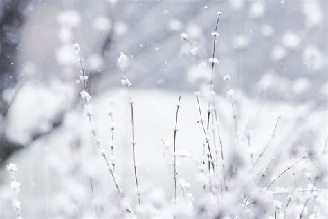 Winter Snow Backgrounds Pixelstalknet