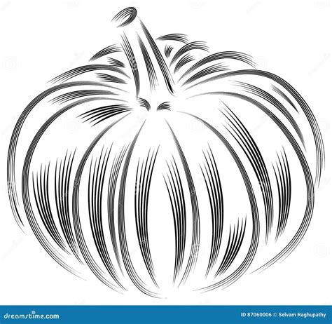 Vector Pumpkin Stock Vector Illustration Of Icon Health 87060006