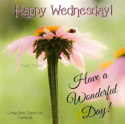 Happy Wednesday Have A Wonderful Day Pictures Photos And Images For