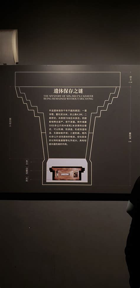 Xin Zhuis Tomb That Preserved Her Body For More Than 2000 Years New