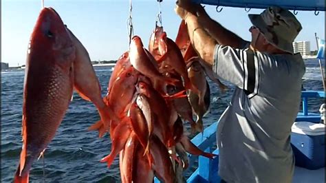 Deep Sea Fishing On The Gulf Youtube