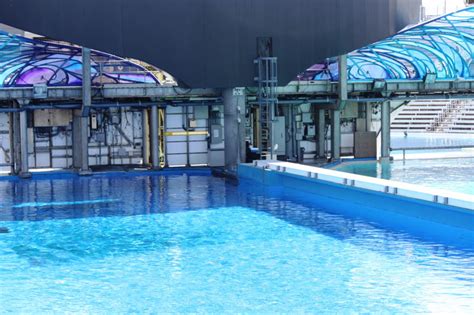 SeaWorld San Diego’s Gallery – Inherently Wild