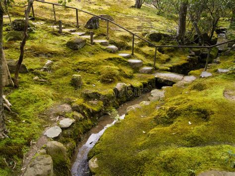 Japanese Moss Garden Stock Photo Image Of Stream Walkway 56667388