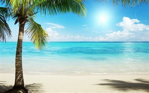 Tropical Backgrounds Pictures Wallpaper Cave