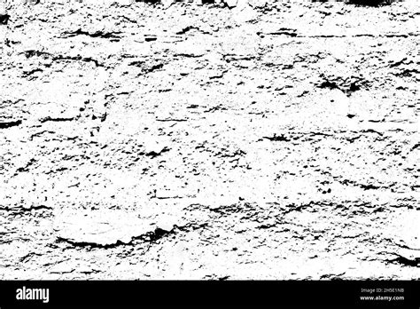 Black And White Texture Abstract Contrast Texture Natural Surface For