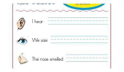 Sentence Starters for Kindergarten and 1st Grade| The Senses | Sentence