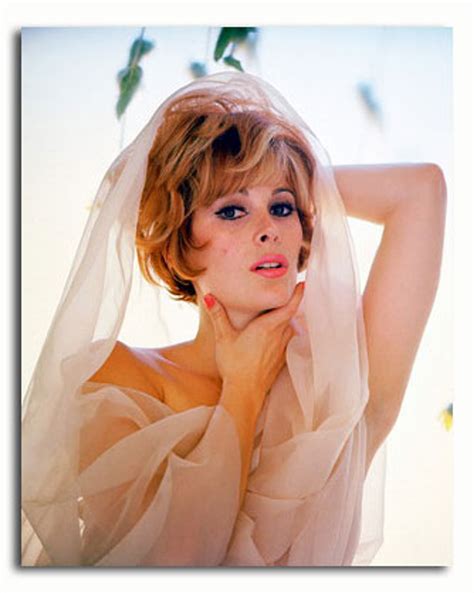Ss2331615 Movie Picture Of Jill St John Buy Celebrity Photos And