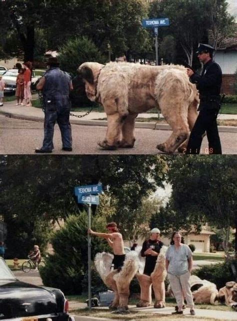 The Beast From The Sandlot The Sandlot Massive Dogs Dog Costume