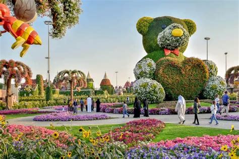 Dubai Miracle Garden Our Guide Includes Timings Location Map Entry Fee