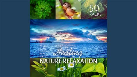 Healing Nature Youtube