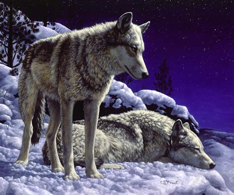 Wolf Painting Night Watch Painting By Crista Forest Fine Art America