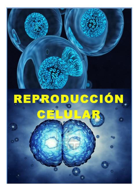 6 ReproducciÓn Celular