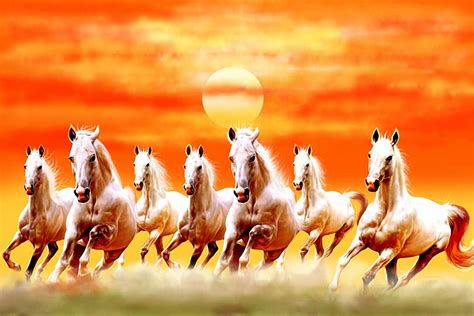 Sunset Horses Sun Sky Gallopping Herd Colors Hd Wallpaper Peakpx