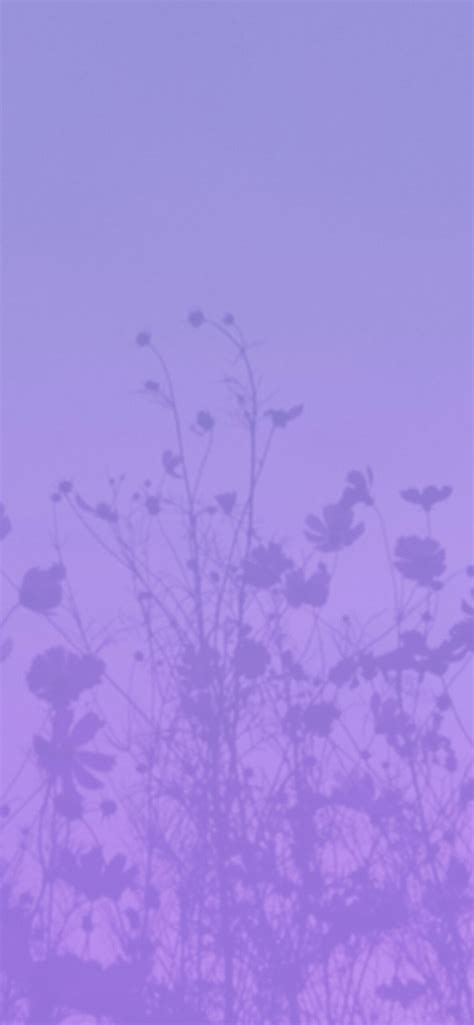 Light Lavender Aesthetic Wallpapers Aesthetic Purple Wallpapers