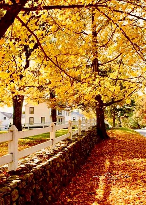 Pin By Mary Shull On Autumn In New England New England