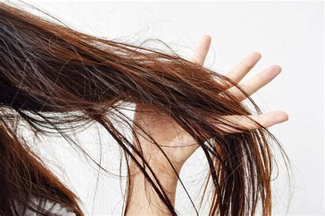 Ways You Can Check If Your Hair Is Healthy And How To Treat It Properly World Wise News