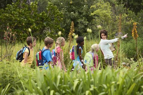 Field Trip Safety Tips To Keep Kids Safe