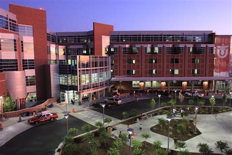 School Of Medicine University Of Utah New Scholars Hub
