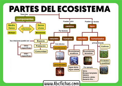 Ecosistema Y Sus Partes Abc Fichas