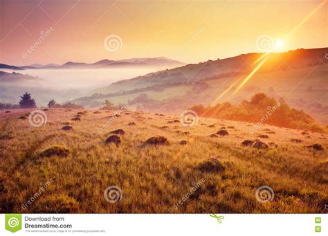 Majestic Summer Landscape Stock Photo Image Of Beam 80381464
