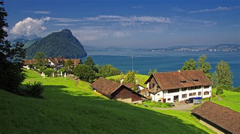 Fondos De Pantalla Suiza Gersau Lago Lucerna Pendiente Casas Verde