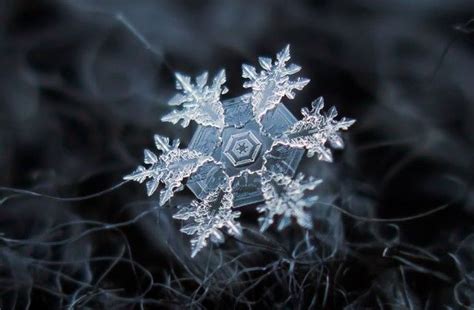 Stunning Close Up Photos Of Snowflakes By Alexey Klyatov Snowflake