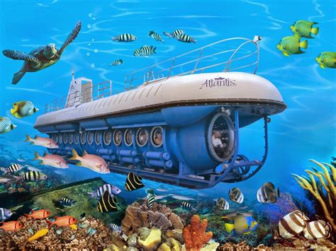 barbados submarine tours day vs night which adventure suits you