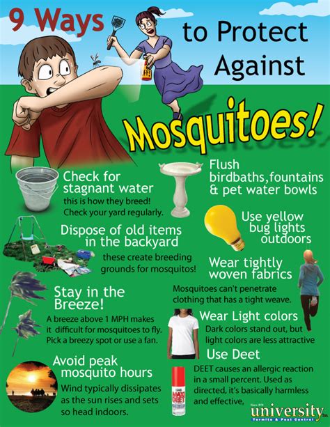 Nine Ways To Protect Yourself From Mosquito Bites University Termite