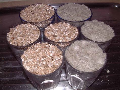 Huge selection of gardening seeds and supplies. zeolite vs vermiculite / perlite - Mushroom Cultivation ...