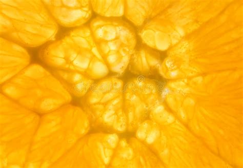 Pulpe Dun Fruit Orange Image Stock Image Du Citron 17946487