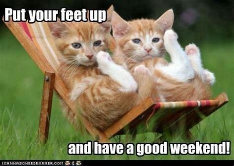 The best happy weekend quotes and saying about weekend with images. Have a good weekend | Funny Cats | Pinterest | As and Have ...