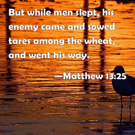 Matthew 1325 But While Men Slept His Enemy Came And Sowed Tares Among