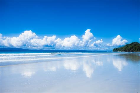 Havelock Island The Most Beautiful Getaway In Andaman Thomas Cook Blog