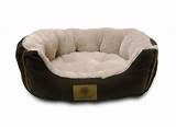Photos of American Kennel Club Beds For Dogs