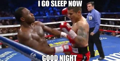 At memesmonkey.com find thousands of memes categorized into thousands of categories. 23 Very Funny Boxing Images