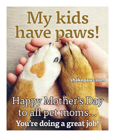 Pin By Nancy Rickey On I Love Animals Dog Mothers Day Pet Mom