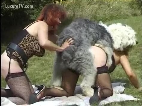 Saucy Redhead Gets Rumping From Shaggy Dog