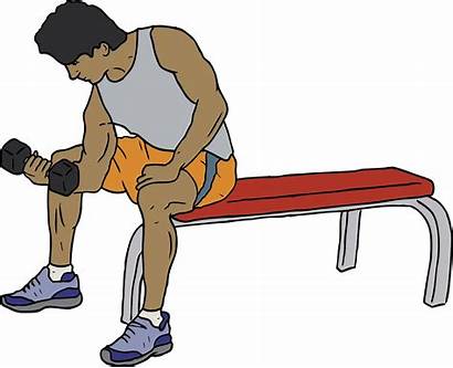 Clipart Exercise Transparent Webstockreview Dumbell Lifter