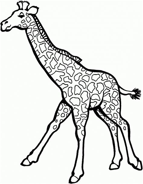 Giraffes come in all shades of brown and cream, but if you want, you can explore different color combinations. Desenhos de girafa para colorir - Atividades Educativas