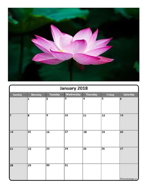A Calendar With The Image Of A Pink Lotus Flower On Its Side And An