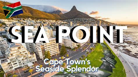Sea Point Virtual Tour Experience The Coastal Charm Of Cape Town