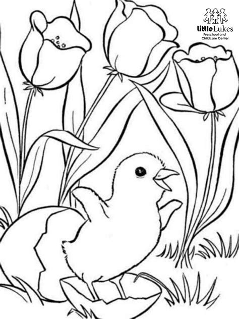 Free Spring Coloring Pages Little Lukes Preschool And Childcare Center
