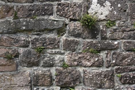 Castle Wall Brick Texture