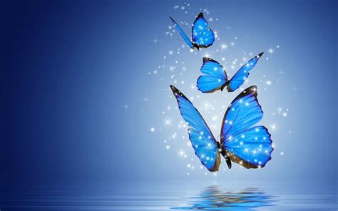 butterfly laptop aesthetic wallpapers wallpaper cave
