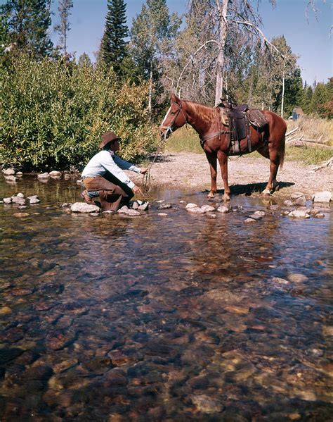 1970s Cowboy In Stream Kneeling Try Photograph By Vintage Images Fine