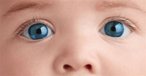 Will My Kid Have Colored Eyes When Do Babies Eyes Change Color X